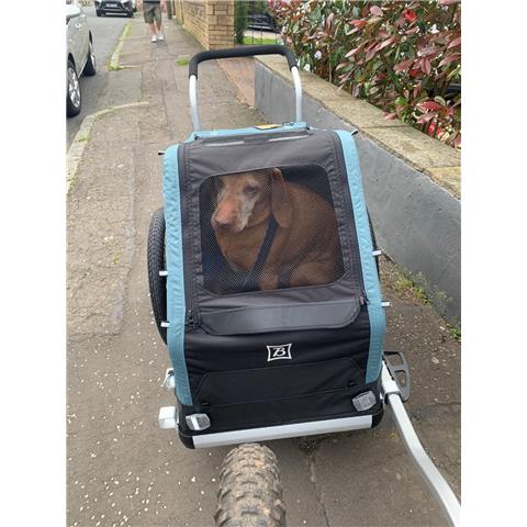 Burley Dog trailer. Medium sized . breed