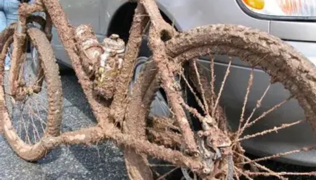 muddy